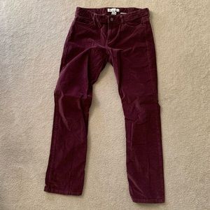 Calvin Klein wine colored velour/corduroy pants sz 10 straight leg